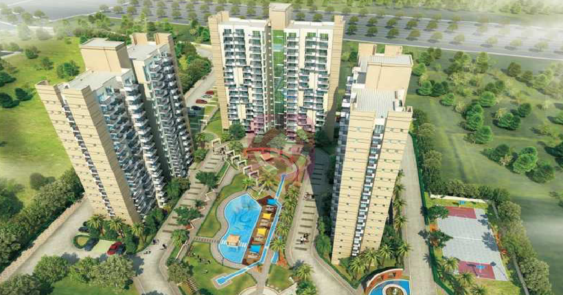 Today Royal Elegancia